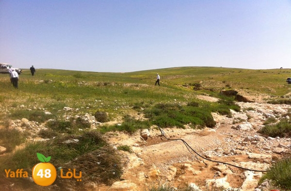 naqab lud 0329 (5).jpg